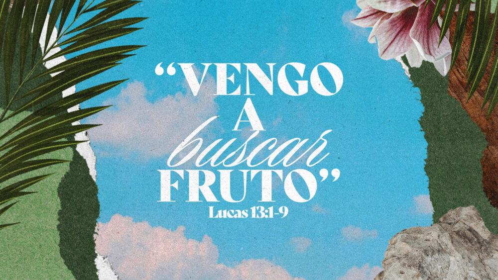 Lucas 13:1-9 | Vengo a buscar fruto Image