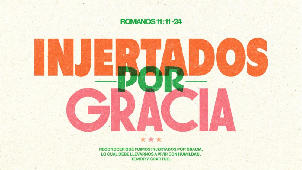 Romanos 11:11-24 | Injertados por Gracia