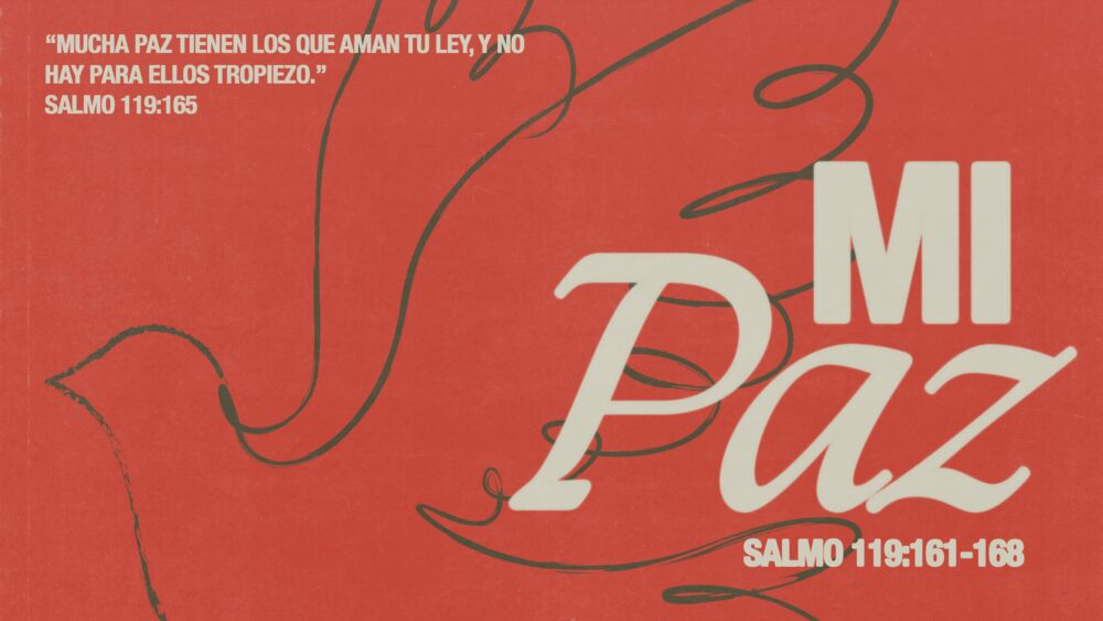 Salmo 119:161-168 | Mi Paz